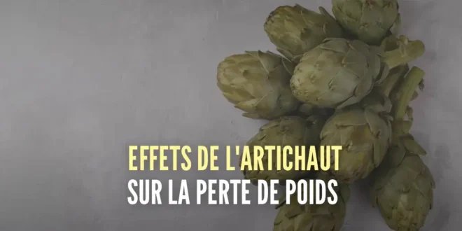 7 effets positifs de l’artichaut pour perdre du poids et prendre soin de ta santé 7 effets positifs de l’artichaut pour perdre du poids et prendre soin de ta santé