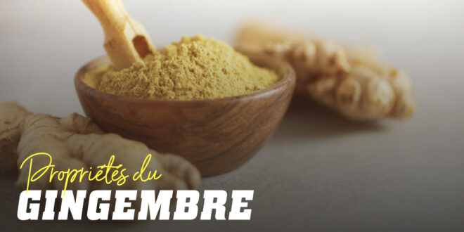 Gingembre, propriétés et bienfaits pour ta santé
