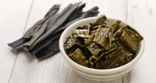10 bienfaits et propriétés de l’algue Kelp pour la santé