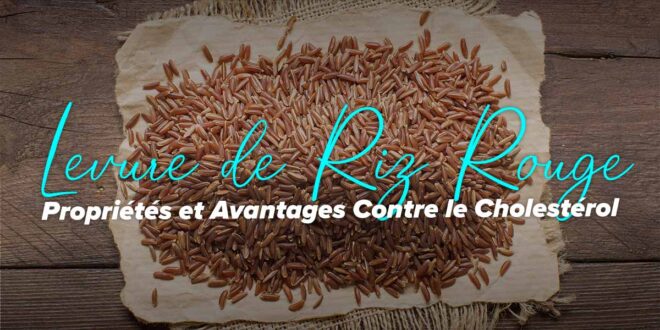 Levure de riz rouge : propriétés, contre-indications et effets secondaires