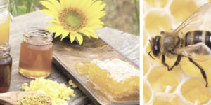 Gelée royale et son utilisation