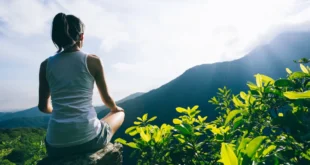 8 bienfaits incroyables du Ginkgo Biloba pour la santé