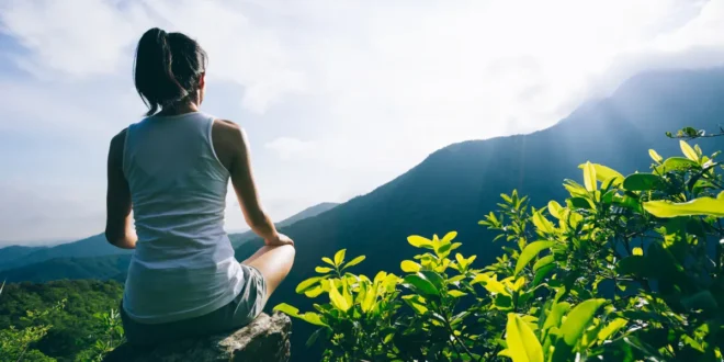 8 bienfaits incroyables du Ginkgo Biloba pour la santé 8 bienfaits incroyables du Ginkgo Biloba pour la santé