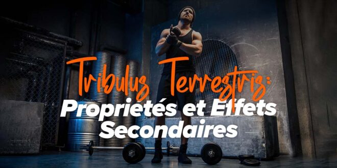 Tribulus Terrestris : Propriétés et Effets Secondaires