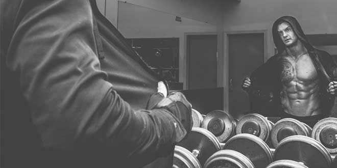 Clés de la Masse Musculaire