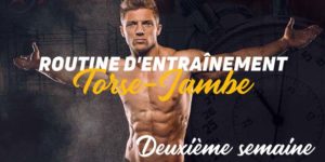 Routine Torse Jambe Semaine 2
