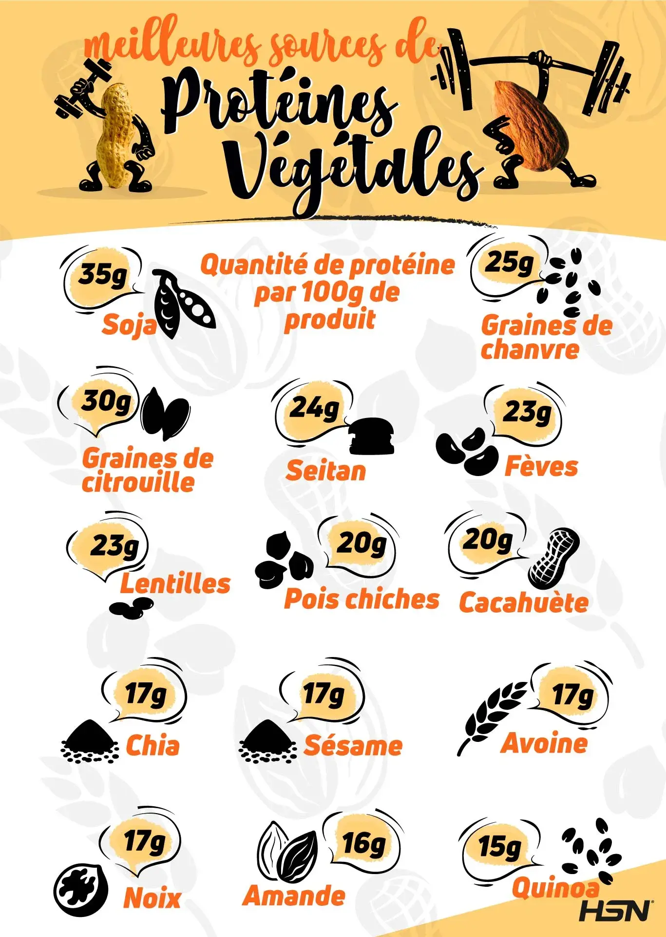 vegetal protein vegetal protein