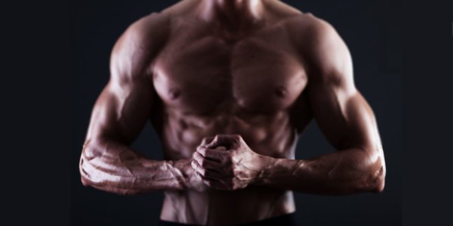 Acide Arachidonique – Plus de Masse Musculaire et Force ? Acide Arachidonique – Plus de Masse Musculaire et Force ?