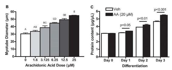Doses d'acide Arachidonique Doses d'acide Arachidonique