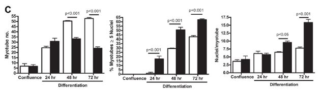 Figure 12 arachidonique