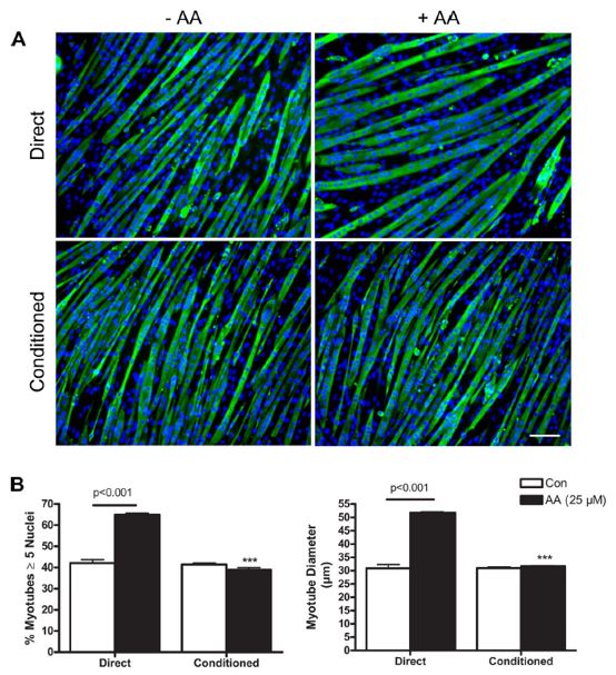 Comparaison des doses arachidonique comparaison doses arachidonique