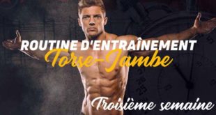 Torse Jambe Semaine 3