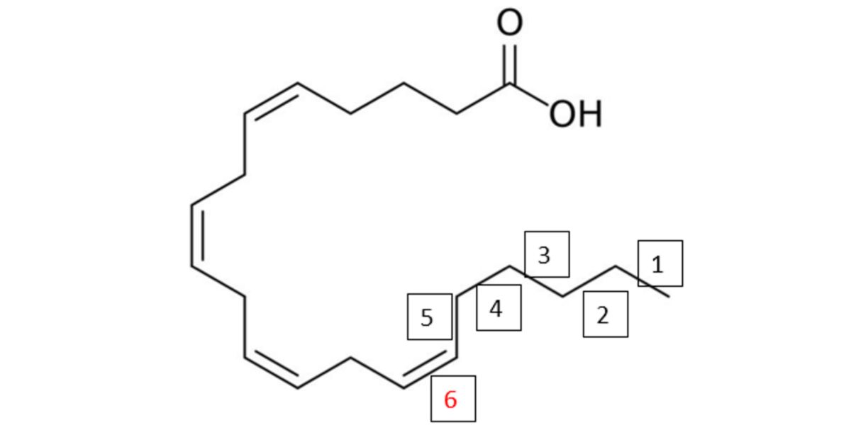 Structure moléculaire eicosatétraénoïque Structure moléculaire eicosatétraénoïque
