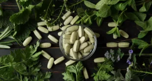 Suppléments pour vegans : guide complet pour une nutrition saine