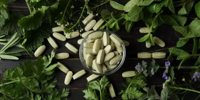 Suppléments pour vegans : guide complet pour une nutrition saine Suppléments pour vegans : guide complet pour une nutrition saine