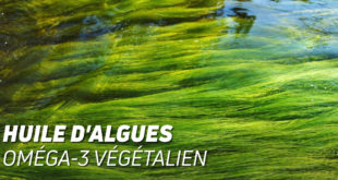 oméga 3 végétaliens