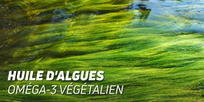 Acides gras oméga 3 pour vegans : aliments et compléments