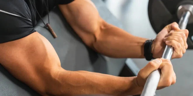 Les meilleurs exercices pour les avant-bras Les meilleurs exercices pour les avant-bras
