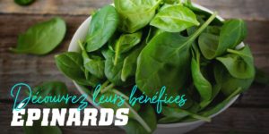 Épinards découvrez leurs bénéfices