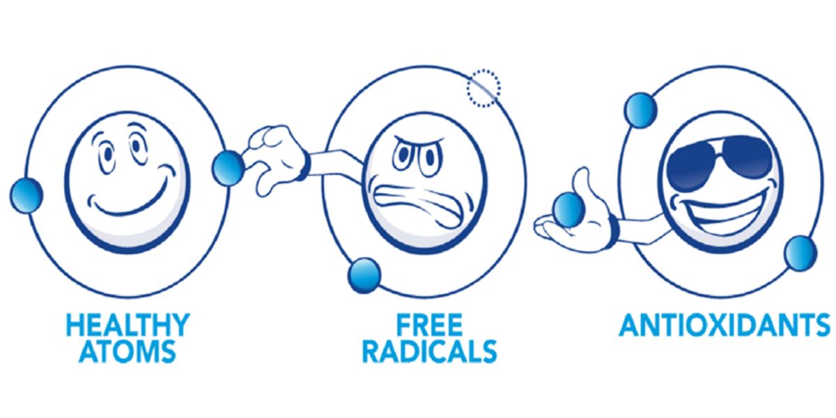 Représentation des antioxydants Représentation des antioxydants
