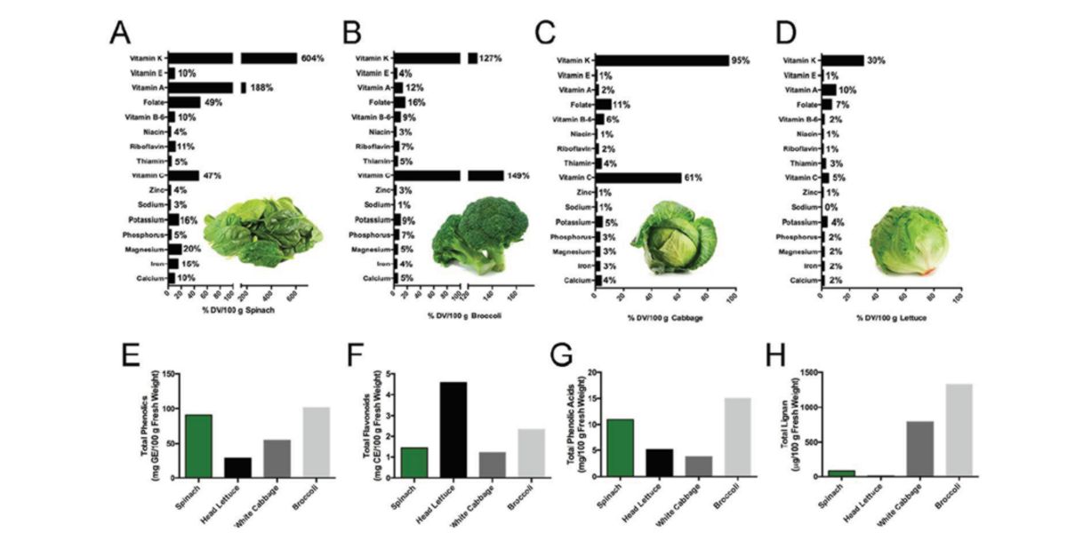 Vitamines et minéraux des épinards Vitamines et minéraux des épinards