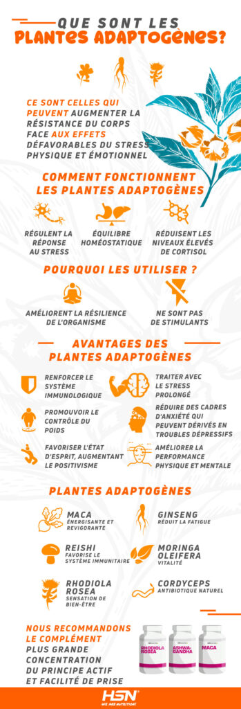 Info plantas adaptogenas
