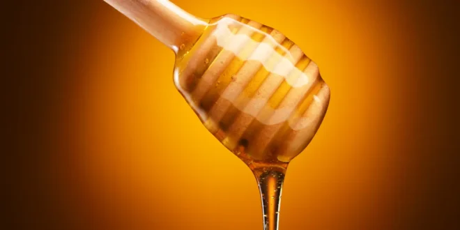 Miel : bienfaits de l’or doux Miel : bienfaits de l’or doux