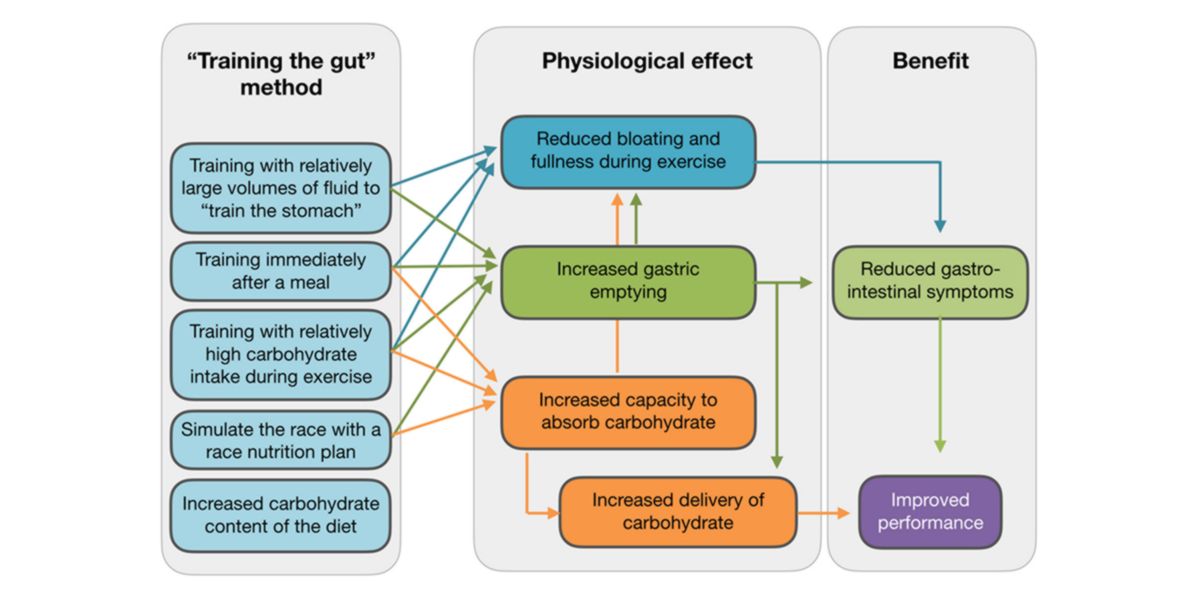 Modèle proposé Modèle proposé
