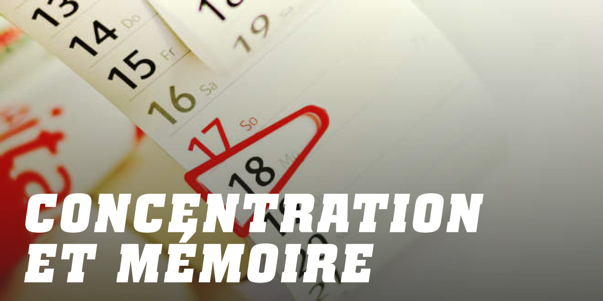 Concentration et mémoire