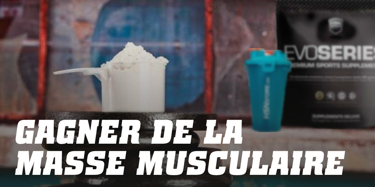 Gagner de la masse musculaire