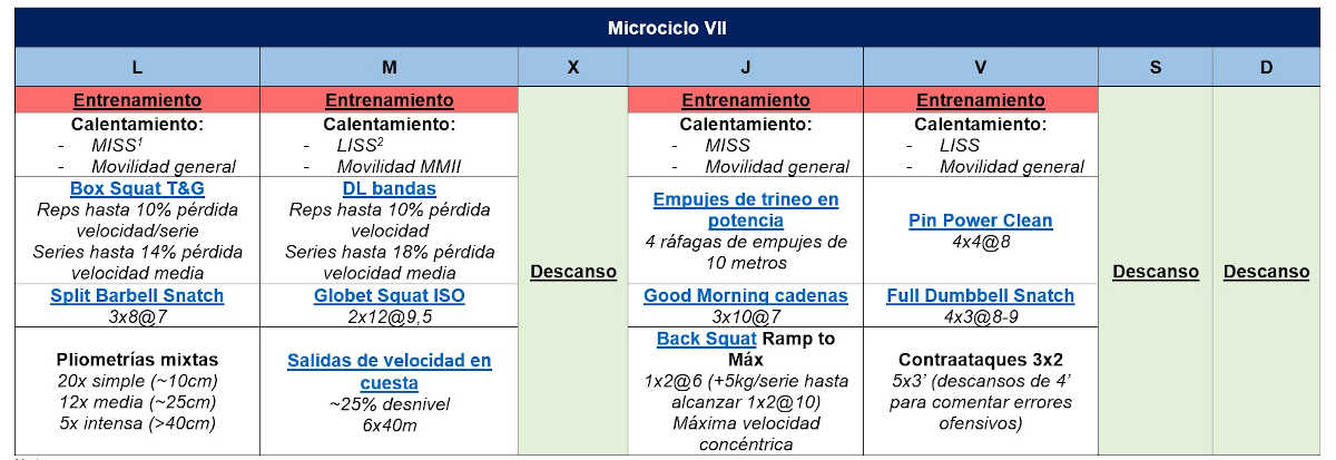 Microcycle VII Sessions de gym en Basketball