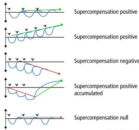 Profils de surcompensation Profils de surcompensation