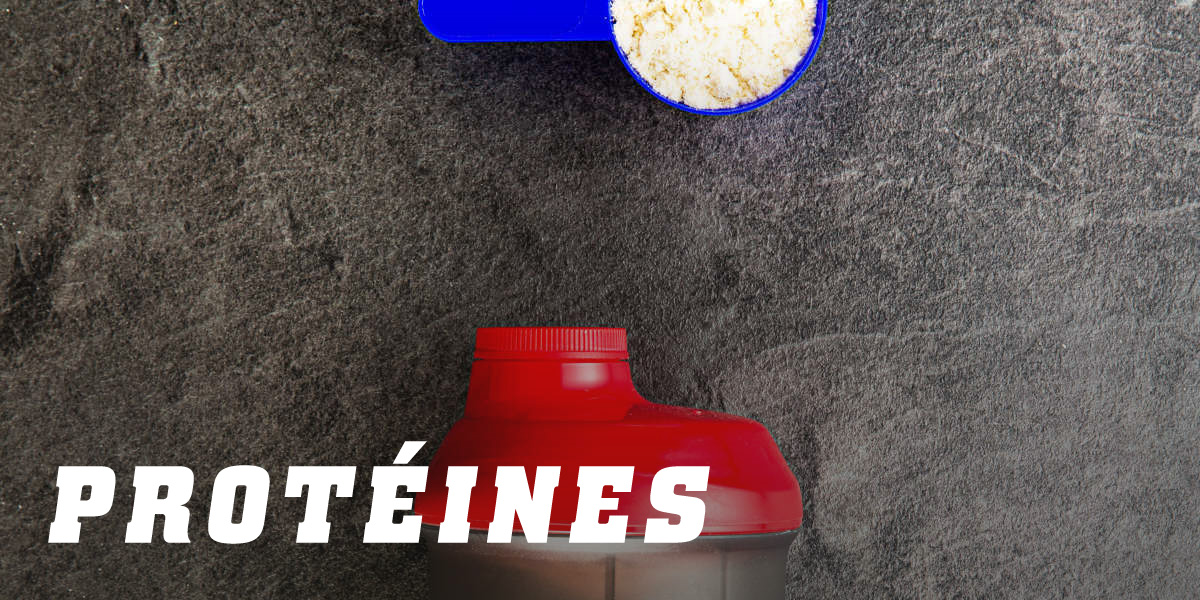 Protéines