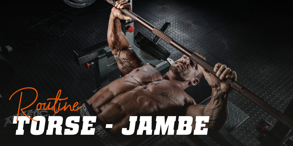 Torse jambe Torse jambe