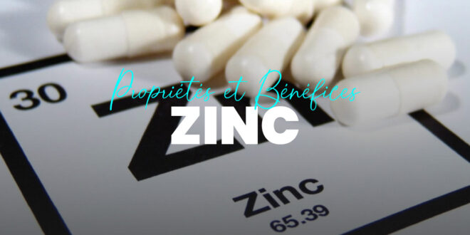 Zinc dans l’alimentation : propriétés et bienfaits Zinc dans l’alimentation : propriétés et bienfaits