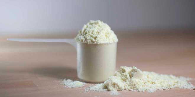 Qu'est-ce que Native Whey ou Native Whey Protein ?【2025