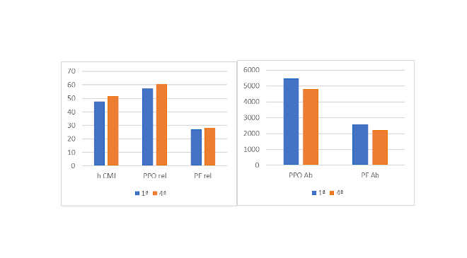 Capacité de saut basketball
