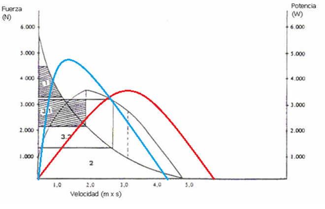 Curve de force basketball