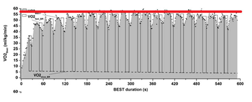 Puissance aérobie maximale