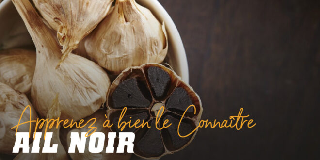 Ail noir : découvre-le en profondeur Ail noir : découvre-le en profondeur
