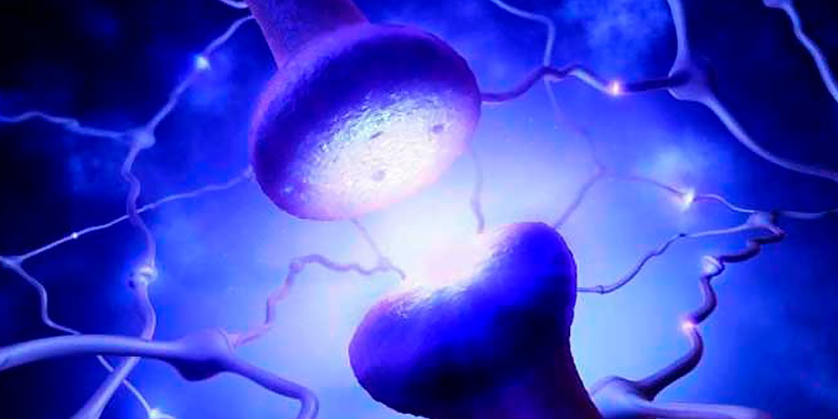 Choline et Inositol pour le Cerveau Choline et Inositol pour le Cerveau