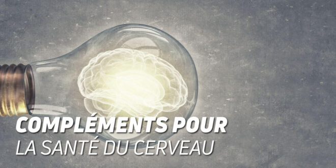 Top Compléments pour la Santé du Cerveau Top Compléments pour la Santé du Cerveau