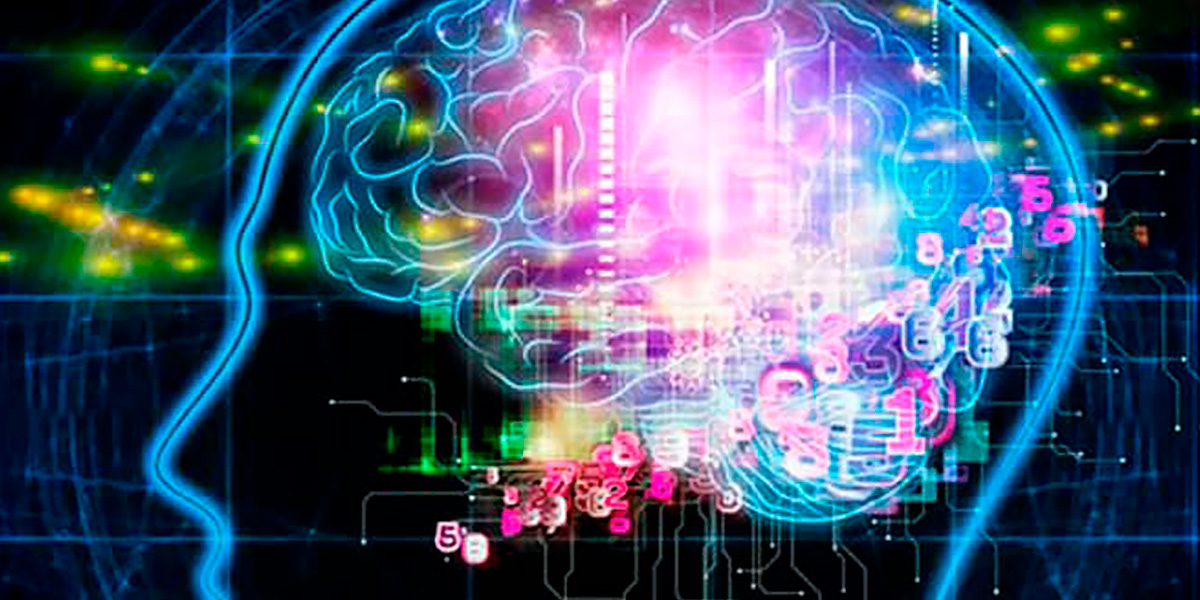 Evobrain Evobrain