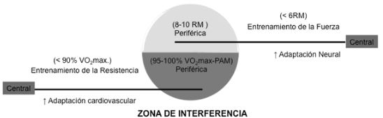 Figure 2 Musculation pour les Débutants : Figure 2