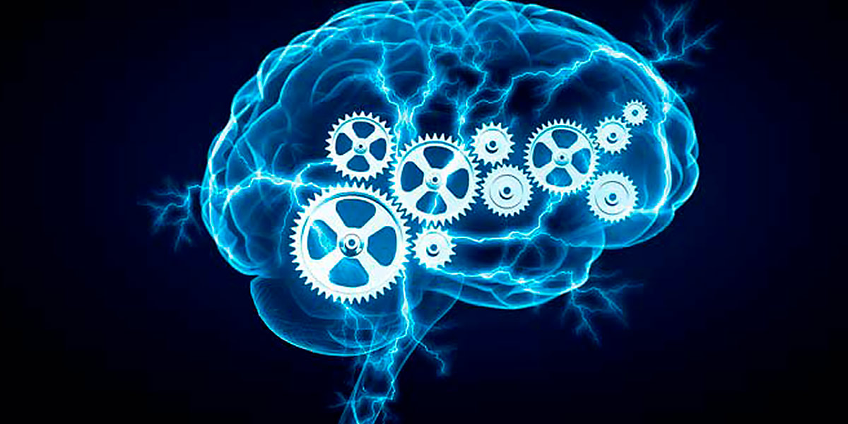 Tyrosine pour la santé du cerveau Tyrosine pour la santé du cerveau