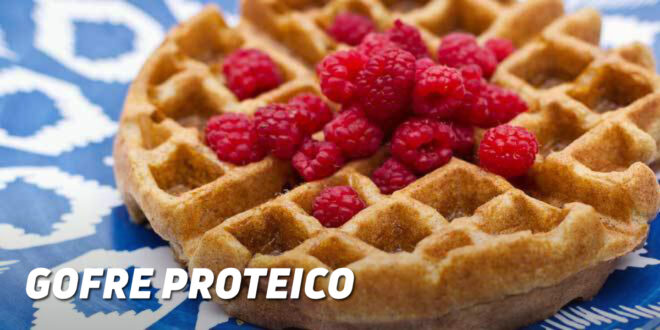Gaufre Protéinée Gaufre Protéinée