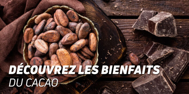 Découvrez les bienfaits du cacao !