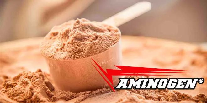 Aminogen : Complexe d’enzymes digestives