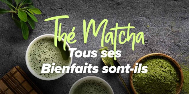 Thé Matcha : tous ses bienfaits sont-ils vrais ?