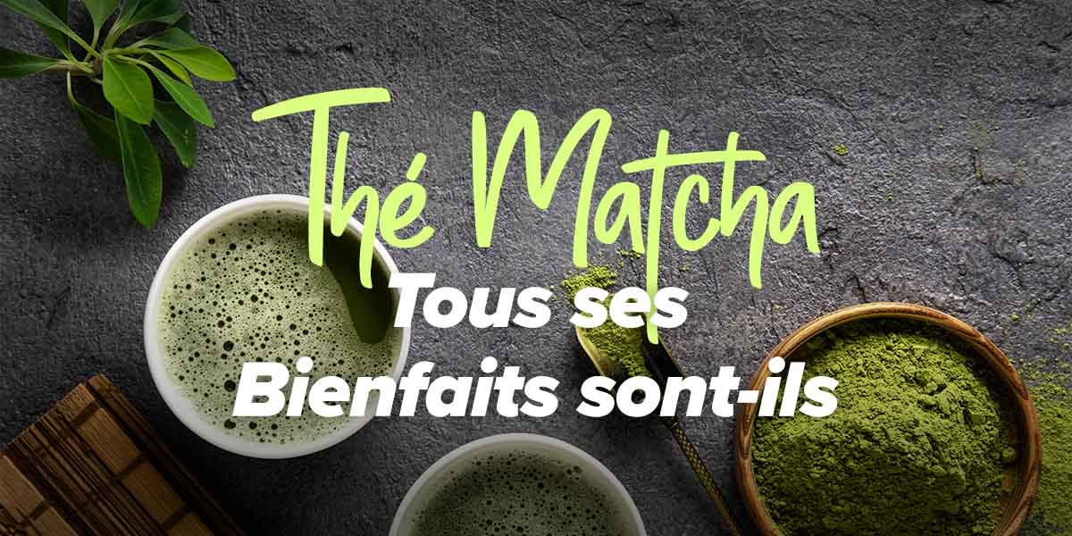Thé Matcha Avantages, Propriétés et Contreindications 【2025